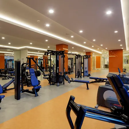 The Sense Deluxe シダ