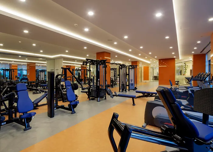 The Sense Deluxe シダ